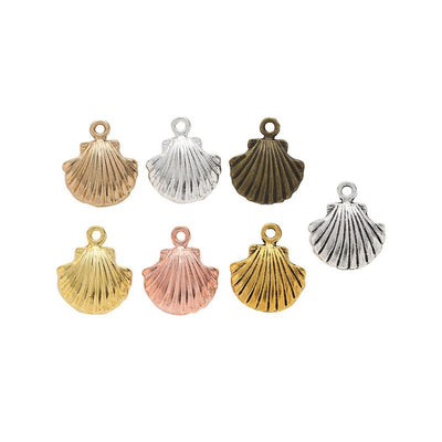 Group view of scallop shell styles on a white background