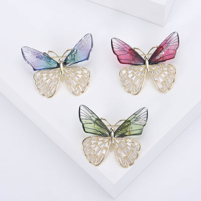A butterfly with tinted upper wings and openwork lower wings shown on a white background.