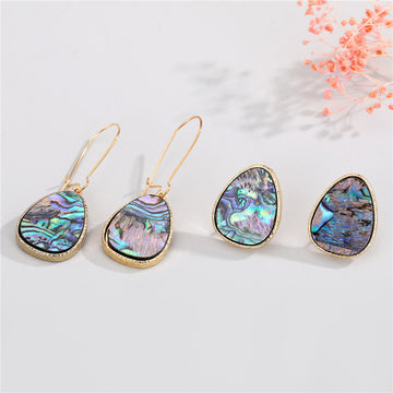 Gold Tone Irregular Abalone Shell Drop and Stud Earrings