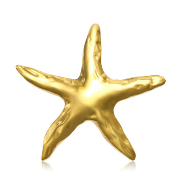 Smooth Starfish Brooch In Gold And Silver Tone Finishes