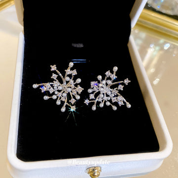 Silver Tone Crystal Firework Burst Statement Stud Earrings