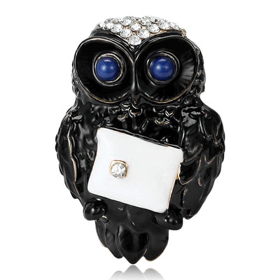 Front view of envelope holding enamel owl brooch against a white background.