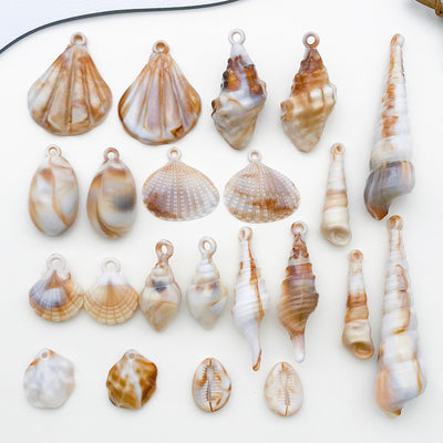 Multicolor seashell charms arranged on a light background