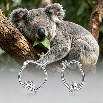 Silver koala hoop earrings below photo of sleeping koala on tree branch