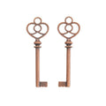 Heart-Top Skeleton Key Metal Charms in Seven Finishes view 9