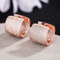 Micro Pave Luxury Hoop Earrings For Women Elegant Versatile Fashion Cross Border Jewelry view 3