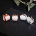 Micro Pave Luxury Hoop Earrings For Women Elegant Versatile Fashion Cross Border Jewelry view 2