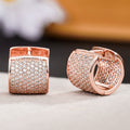 Micro Pave Luxury Hoop Earrings For Women Elegant Versatile Fashion Cross Border Jewelry view 5