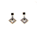 Elegant Leopard Print Acrylic Geometric Hollow Square Drop Alloy Stud Dangle Fashion Earrings view 5