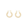 Gold Plated Copper Zircon U Shaped Geometric Hoop Earrings For Women Light Luxury Daily Wear view 5