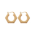 Minimalist Iron Hexagon Geometric Smooth Metal Hoop Earrings For Daily Fashion view 5