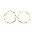 Smooth Metal Round Hoop Earrings With Steel Pin, Minimalist Geometric Fashion Earrings for Women view 5
