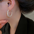 Minimalist Copper Twisted Rope Round Hoop Earrings Geometric Light Luxury Fashion Jewelry view 3