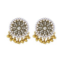 Vintage Ethnic Round Floral Red Rhinestone Faux Pearl Beaded Tassel Bohemian Alloy Stud Earrings view 5