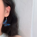 Dreamy Blue Resin Butterfly Drop Earrings Korean Elegant Light Luxury Animal Ear Hooks view 3