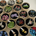 Handwoven Colorful Flower Round Stud Earrings Alloy Sweet Vacation Style Jewelry view 1