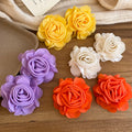 Summer Woven Raffia Flower Stud Earrings For Women Sweet Resort Style Face Slimming Jewelry view 4
