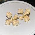 Luxury Floral Artificial Crystal Stud Earrings For Women Sparkling Rhinestone Fashion Jewelry view 4
