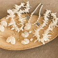 Bohemian Conch Shell Faux Pearl Necklace And Earrings Jewelry Set For Women Vacation Old Money Style view 3