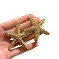 Gold Alloy Starfish Stud Earrings For Women Beach Vacation European Style Light Luxury Jewelry view 5