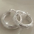 Hot Selling Matte Vine Texture Hoop Earrings Minimalist Cool Style Unisex Plain Ear Jewelry view 1
