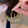 2026 New Simple Metal Oval Hoop Earrings With Silver Needle Light Luxury Geometric Design view 1
