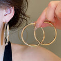 Minimalist Iron Geometric Round Hoop Earrings With Silver Pins For Women Light Luxury Style view 4