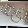 Minimalist Iron Geometric Round Hoop Earrings With Silver Pins For Women Light Luxury Style view 1