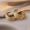 Light Luxury Brushed Metal Circle Stud Earrings Statement Personality Design Fashion Jewelry view 2