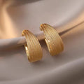Light Luxury Brushed Metal Circle Stud Earrings Statement Personality Design Fashion Jewelry view 1