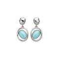 Minimalist Oval Acrylic Pendant Drop Earrings With Silver Needle Geometric Design view 5