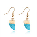 Gold Tone Turquoise Horn-Shaped Stone Drop Earrings with Hooks view 1