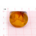 Chunky Oval Resin Signet Rings in Four Solid and Tortoiseshell Colors view 5