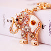1pc charm