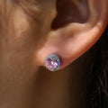 Round Solitaire Halo Stud Earrings In Seven Stone Colors view 12