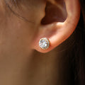 Round Solitaire Halo Stud Earrings In Seven Stone Colors view 7