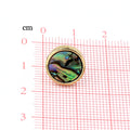 Round Abalone Shell Stud Earrings in Gold or Silver Tone Finish view 3