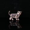 Gray Dog