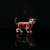 Brown Dog