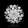 Black Crystal Snowburst