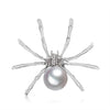 Silver Spider