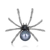 Blue Spider