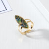 Abalone Shell