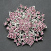 Pink Bauhinia Flower