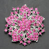 Pink Bauhinia Eight