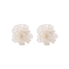 Cream Petal Flowers