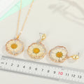Preserved Daisy Round Resin Necklace and Earring Options view 5