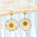 Preserved Daisy Round Resin Necklace and Earring Options view 3