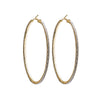 Gold Matte Hoops