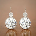Clear Round Stone Silver Tone Drop Earrings Jewelry Accessory view 1